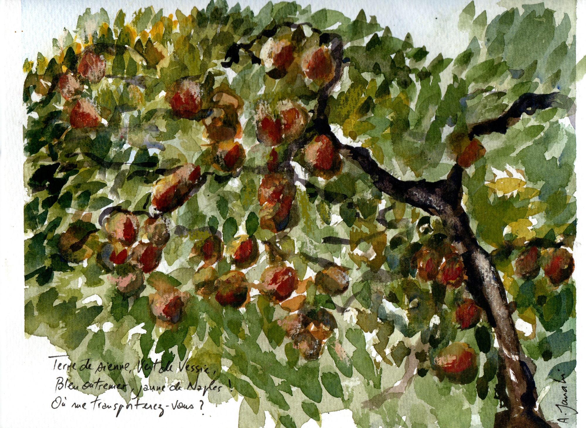 Tangerine tree (2022)