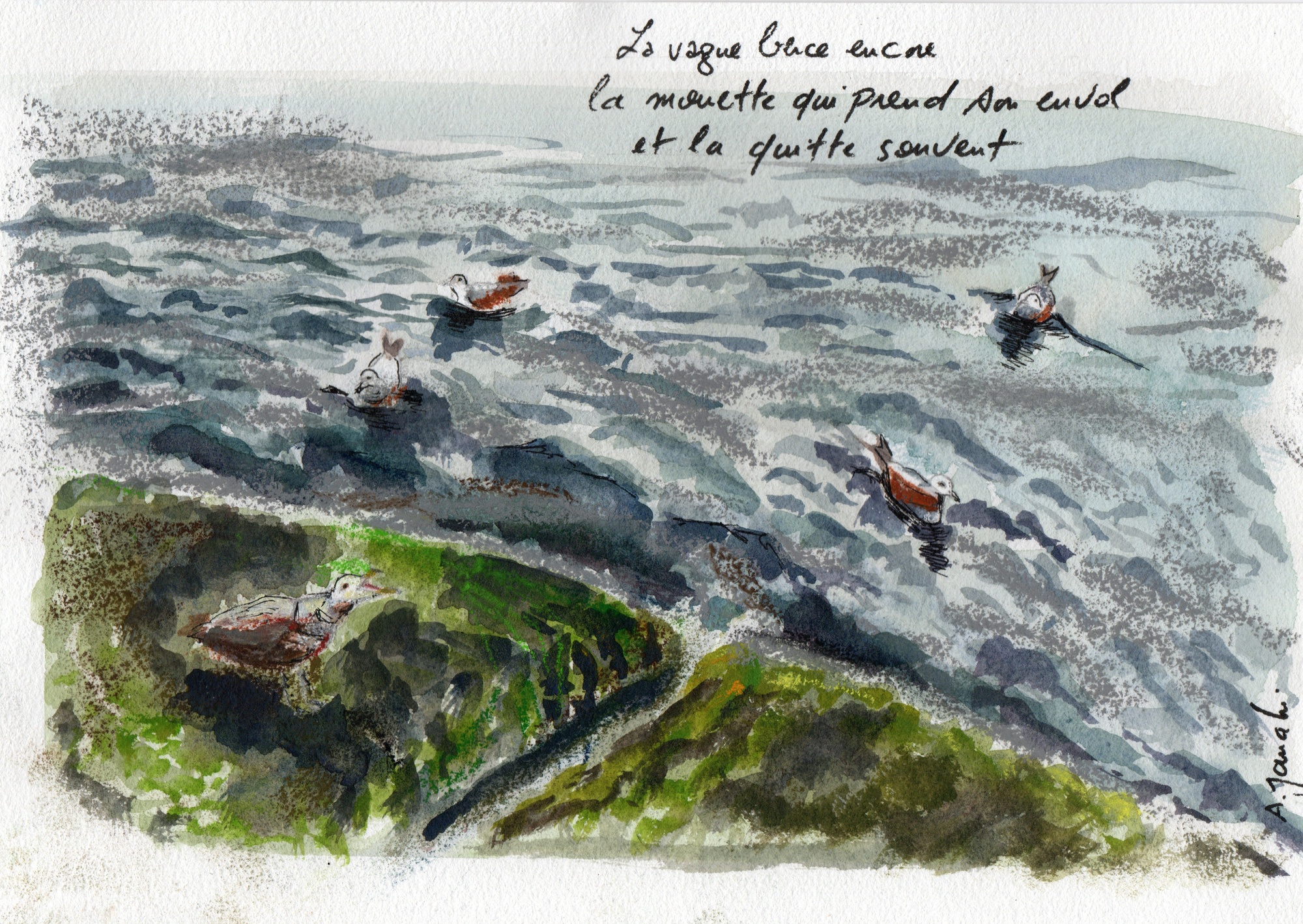 The Wave and the Seagull (2022)