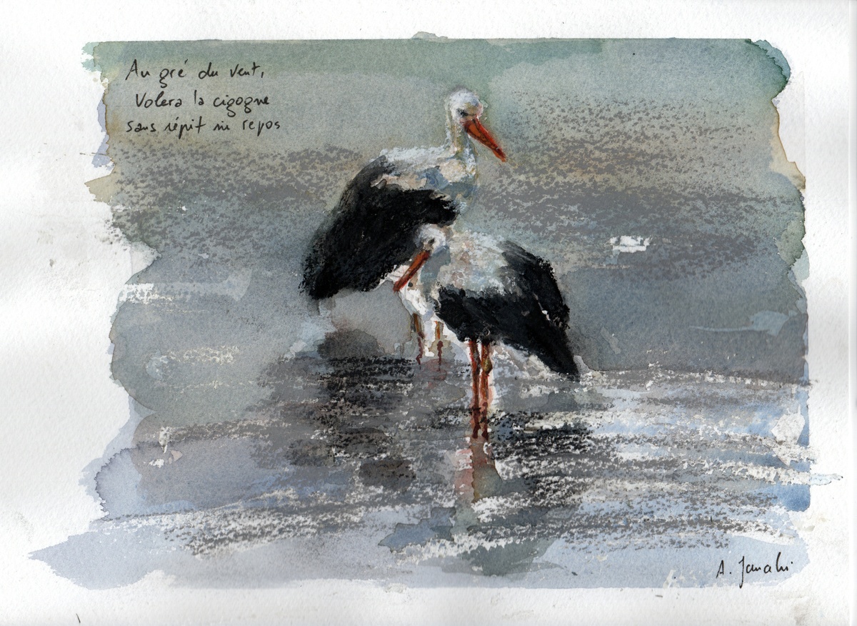 At the Mercy of the Wind (2022)